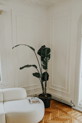 pexels-photo-7101235